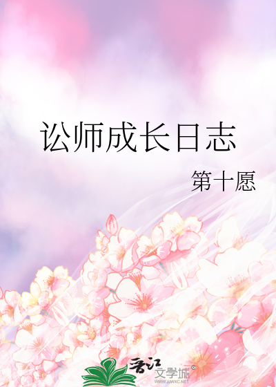 讼师成长日志