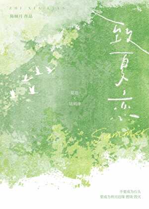 致夏恋