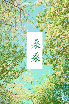桑桑