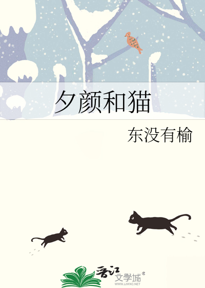 夕颜和猫