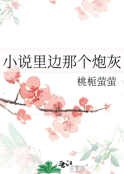 小说里边那个炮灰