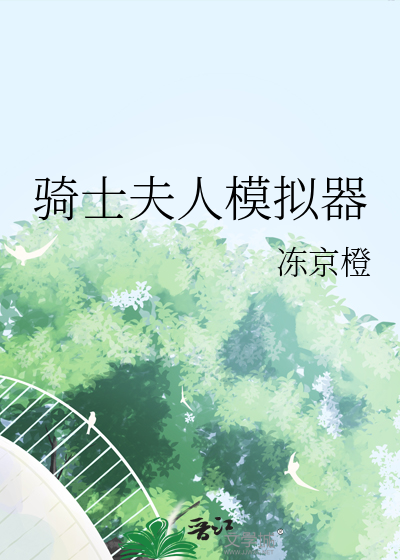 骑士夫人模拟器