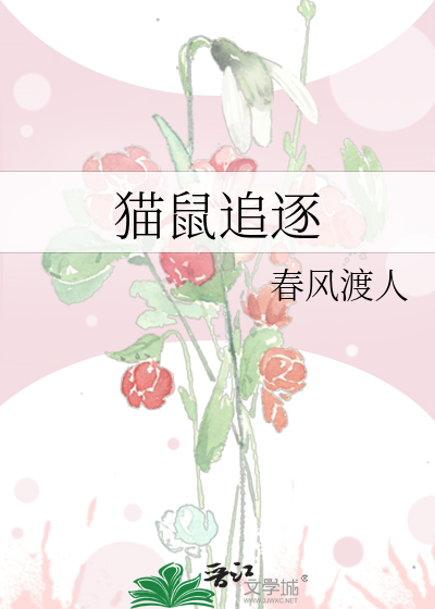 猫鼠追逐