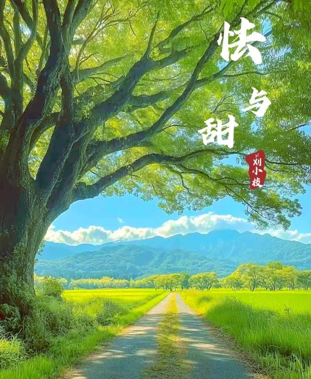 怯与甜