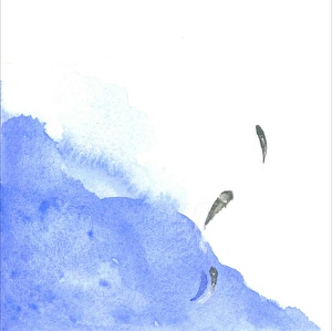 追将军记