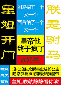 皇姐开门朕是驸马小说