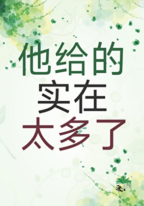 他给的实在太多了