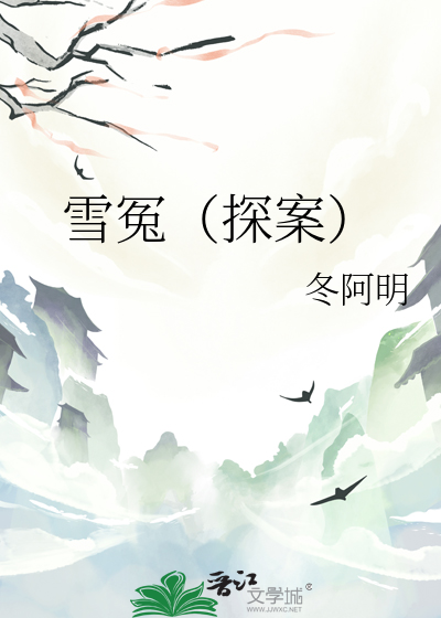 雪冤（探案）