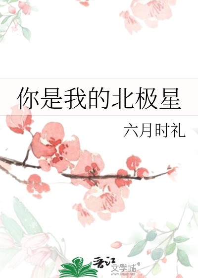 你是我的北极星