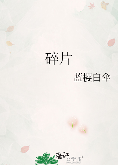 碎片